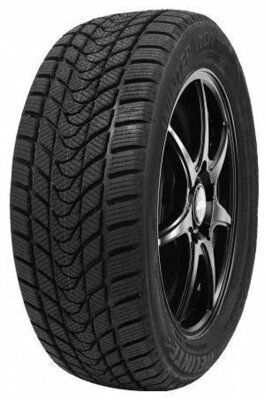 175/70 R14 Delinte Winter WD1 88T